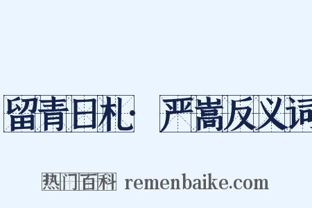 留青日札·严嵩反义词是什么意思的图片